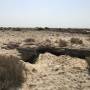 saadiyat_img_0304.jpg