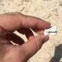 saadiyat_img_0393.jpg