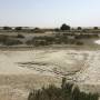 saadiyat_img_0329.jpg