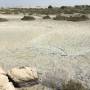 saadiyat_img_0378.jpg