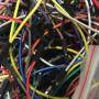 eds_img_1118.jpg